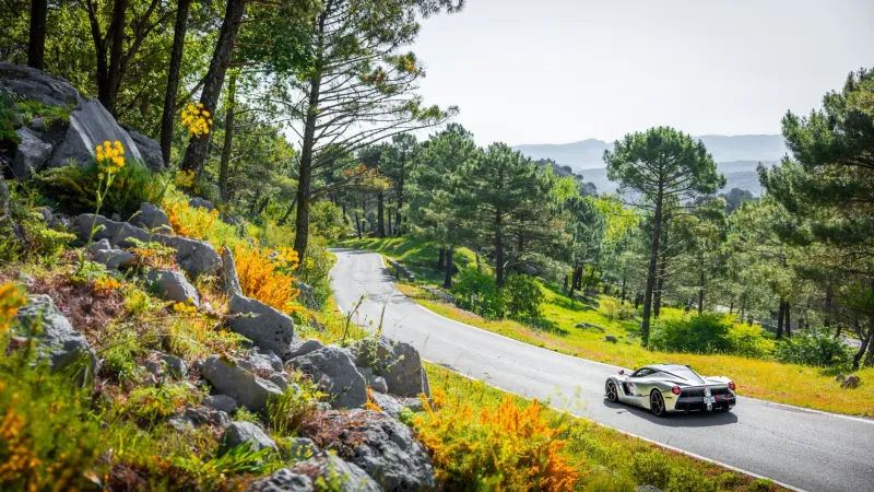The Virtue of Restraint: Discovering What a Grand Tourer Truly Offers When You Ease Off the Throttle